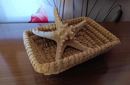 San Bartolomeo in Galdo Apartment | Il Girasole