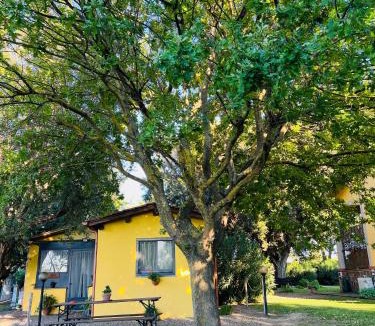 Montalto di Castro Bed & Breakfast | Il Melarancio