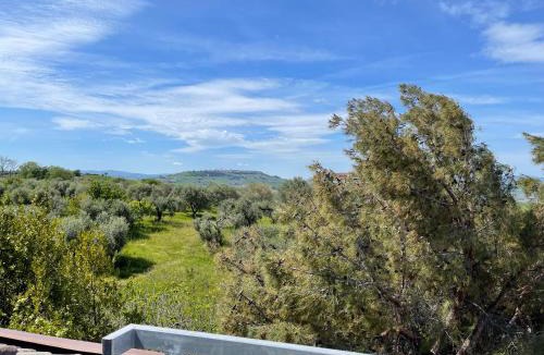 San Giacomo degli Schiavoni Apartment | Il Nido