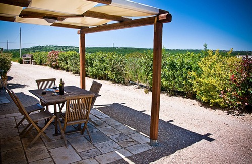 Martina Franca House | Il Panoramico: trullo house from the 1800s with a view of the vineyard and the Valle d'Itria