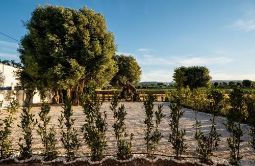 Capitolo House | Il pergolato sul mare