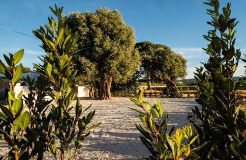 Capitolo House | Il pergolato sul mare