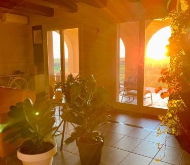 Canino House | Il Poggio di Musignano