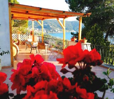 Palinuro Bed & Breakfast | Il Sogno di Vincenzo e Maria