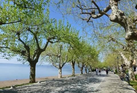 Lake Bracciano Bed & Breakfast | Il Vicolo