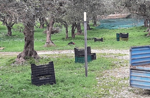 Paceco Apartment | In the countryside, 10 minutes from the Historic Center of Trapani - La Gleba.