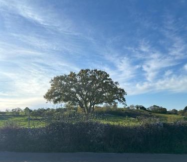 Noci House | Intini Locazione Turistica