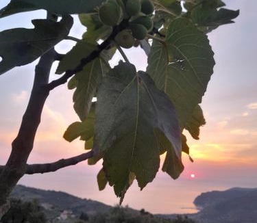 San Mauro Cilento House | L'Aia di Antonella Guariglia