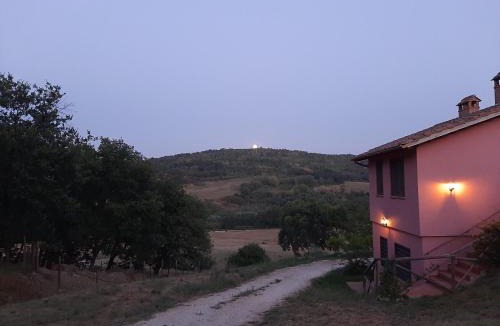 Penna in Teverina House | L'Albero degli Struzzi