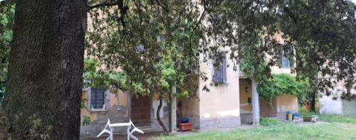 Piana Apartment | L'assiolo