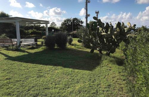 Ventotene House | La Cantina