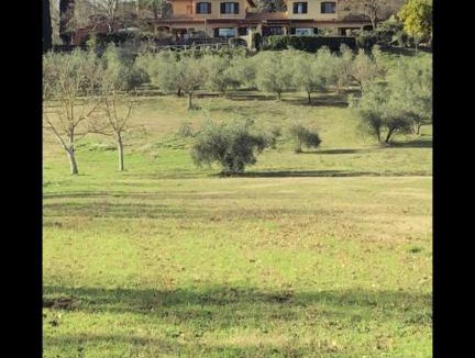 Otricoli Villa | “La casa dei bifolchi”
