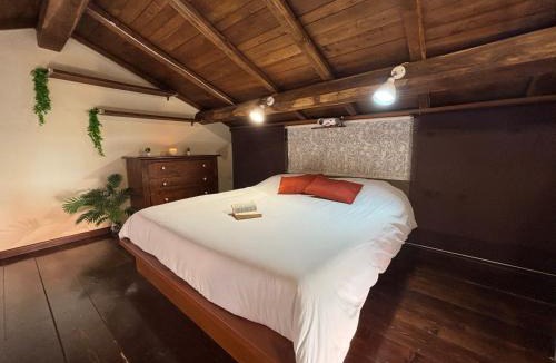 Ariccia House | La casa di Gina
