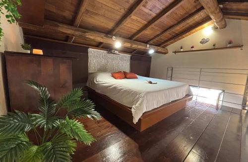 Ariccia House | La casa di Gina