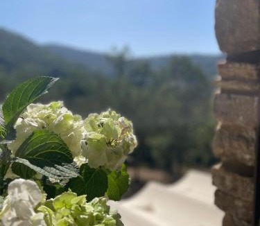Rutino House | La casa di Michela