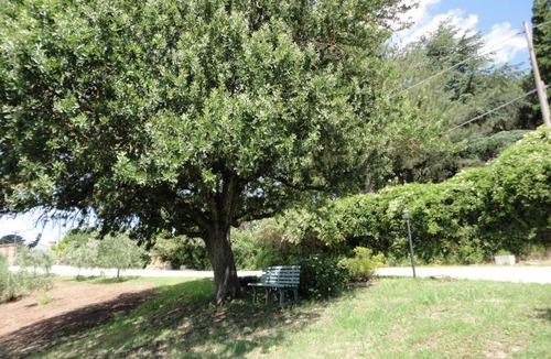 Lake Bracciano Bed & Breakfast | La casa fiorita
