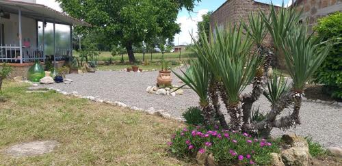 Sorano Bed & Breakfast | La cascina della grotta di tufo