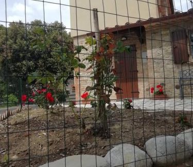 Monteleone d'Orvieto House | La Casetta della letizia
