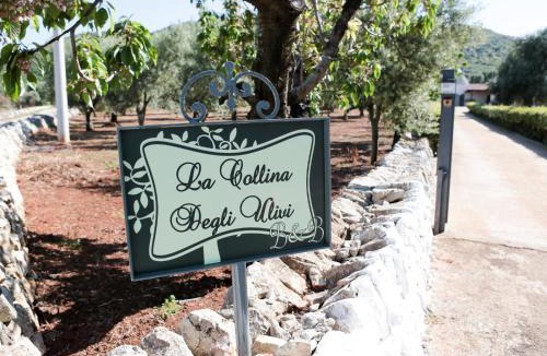 Fasano Apartment | La Collina Degli Ulivi