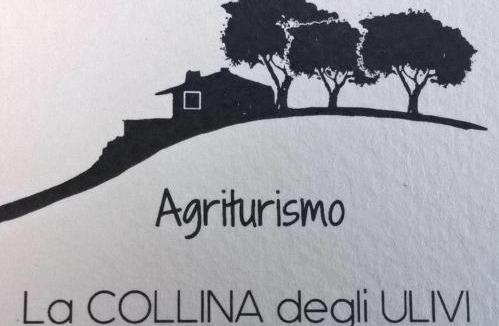 Gavignano Sabino House | La Collina Degli Ulivi