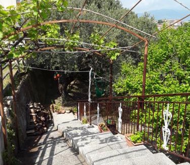Centola Bed & Breakfast | La Collina su Palinuro