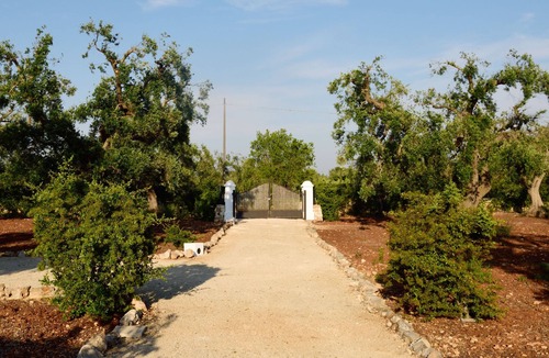 San Vito dei Normanni Villa | LA CORTE DEI TRULLI - VILLA TIMO -