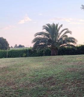 Pomezia Bed & Breakfast | la finestra sul cortile 2