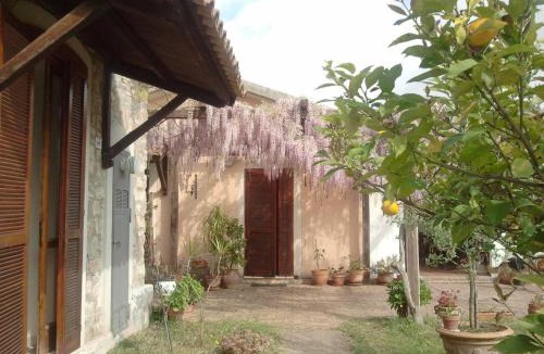 Castellabate House | La Gabbianella e il Gatto