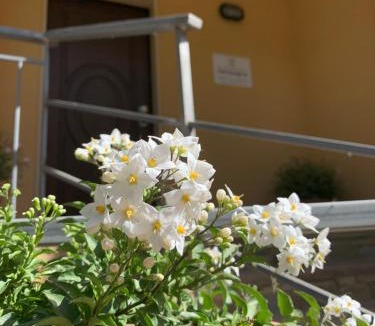 Frascinelle House | La Locanda di Campagna