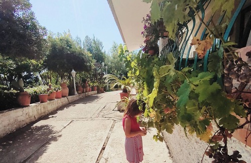 Santa Marinella House | La Lomita Primavera, Relax in the countryside, house surrounded by greenery, 4 km from the sea