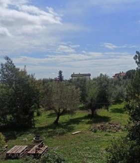 Albano Laziale Apartment | La nostra casetta