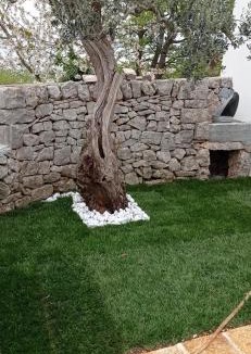 Putignano Bed & Breakfast | La Relais del Trullo