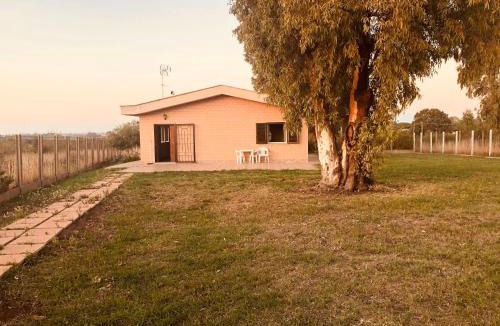 Aprilia Villa | La villetta senza tempo - Pet&Family Friendly Relax Villa with Garden & BBQ near Rome