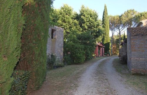 Mugnano in Teverina House | La viola