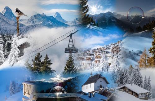 Bettmeralp House | Laackerhof