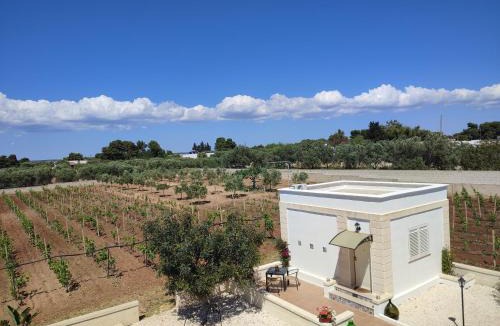 Torricella Bed & Breakfast | Le Anfore del Salento Bed and Breakfast