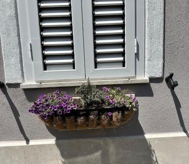 Cisterna di Latina Bed & Breakfast | Le Case Col Sole da Silvia INTERNO 1