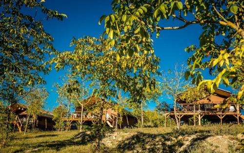 Bevagna Other | Lodge Holidays - Pian di Boccio