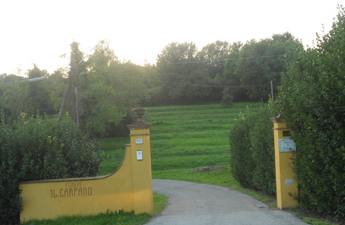 Collodi House | Luxury villa "il campano" near the Pinocchio's park with shared pool and jacuzzi