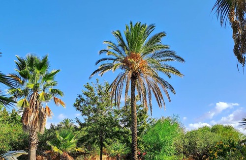 Castelvetrano Villa | Luxury Villa Silene with swimming pool in Castelvetrano Selinunte, Sicily