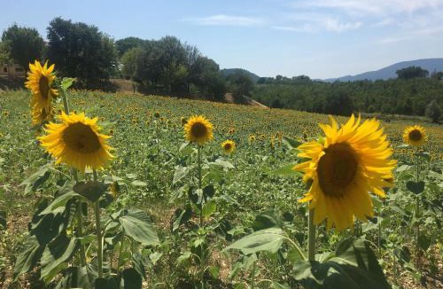 Spoleto Villa | Luxury Villa Spoleto