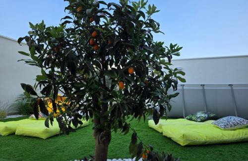 Santo Spirito Apartment | M4REE Seaside Suites & Relax