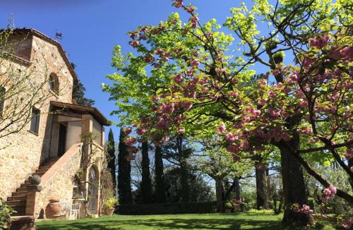Cetona Villa | Magnolia House