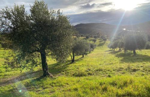 Montorsaio Apartment | Maremma Toscana Podere Poggiarelli