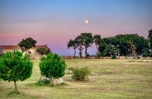 Santeramo in Colle House | Masseria Contursi - Donna Camilla