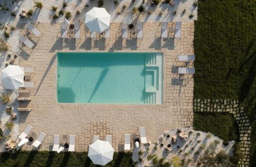 Il Monte Apartment | Masseria Macchiaforte