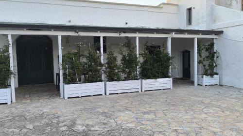 L'Assunta Apartment | Masseria Pittore