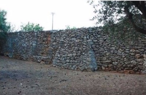 Torchiarolo Other | Masseria Piutri "Timo"