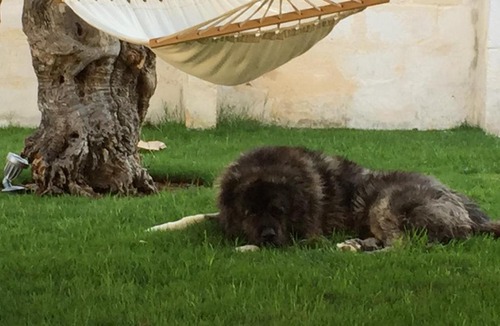 Fasano House | Masseria Torre Del Diamante
