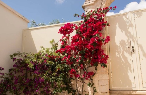 Alberobello House | Monte Olimpo 5